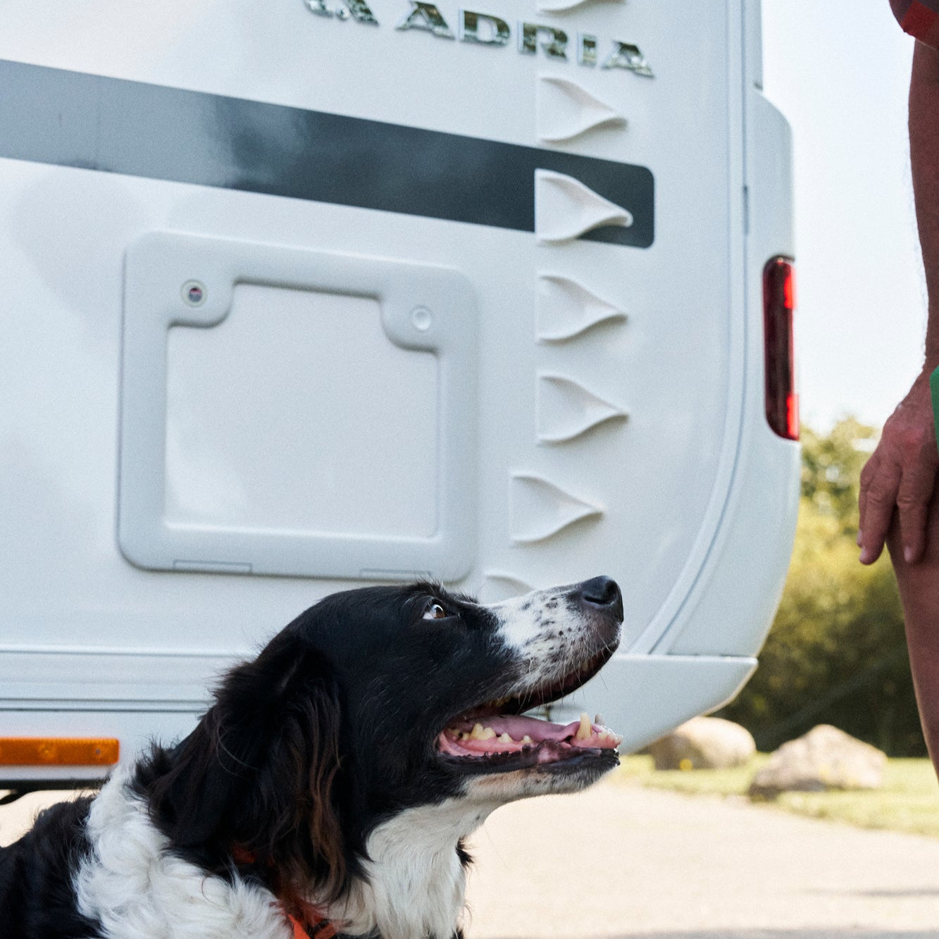 V Spoilers for motorhomes (Kit of 60 pcs.)